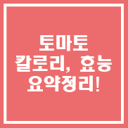  토마토 칼로리와 효능까지 깔끔하게 총정리!