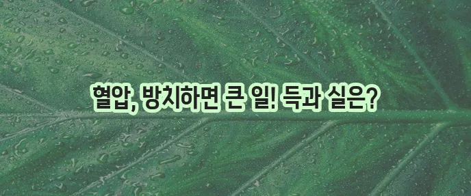 고혈압 주요 증상과 좋은 음식 나쁜 음식 확실히 알아두세요!