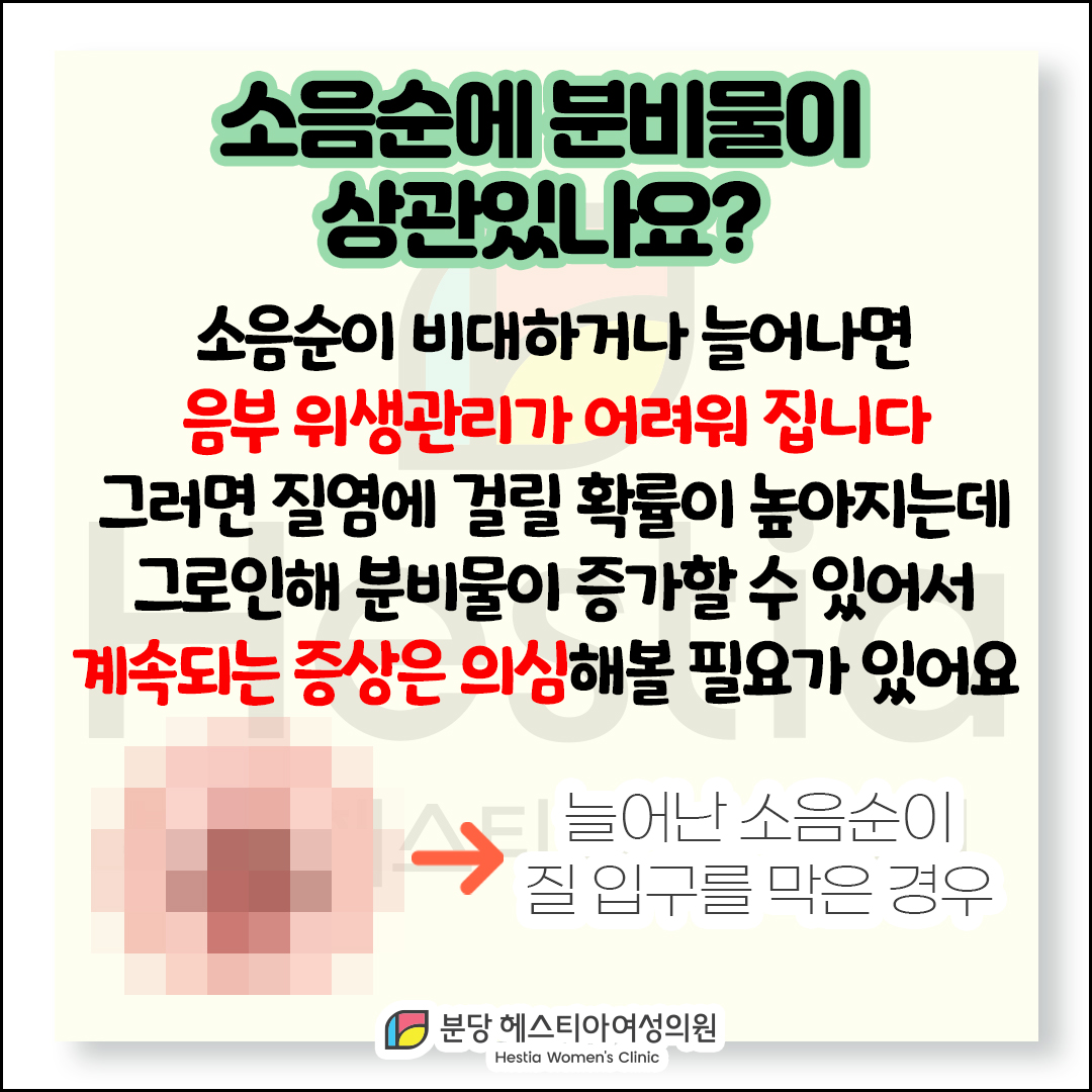 보정동 산부인과 분비물 증가 질 분비물 원인 소음순과 분비물 관련있을까?