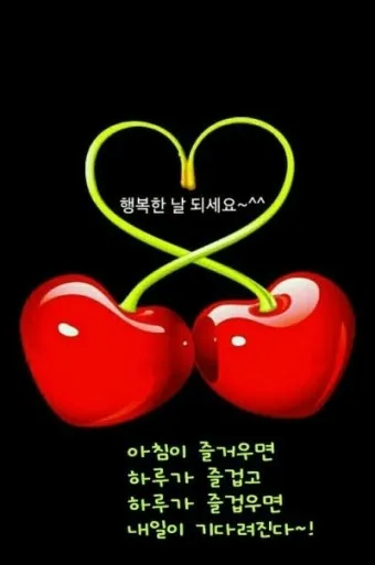 모음집 이미지