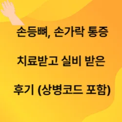 손등뼈-손가락-통증-치료받고-실비받은-후기에-관련된-글의-썸네일