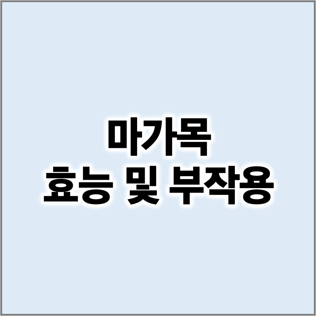 마가목 효능 및 부작용