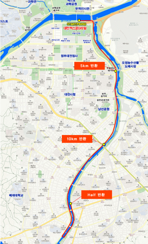2024 전마협 대전마라톤 대회 코스 전체 지도