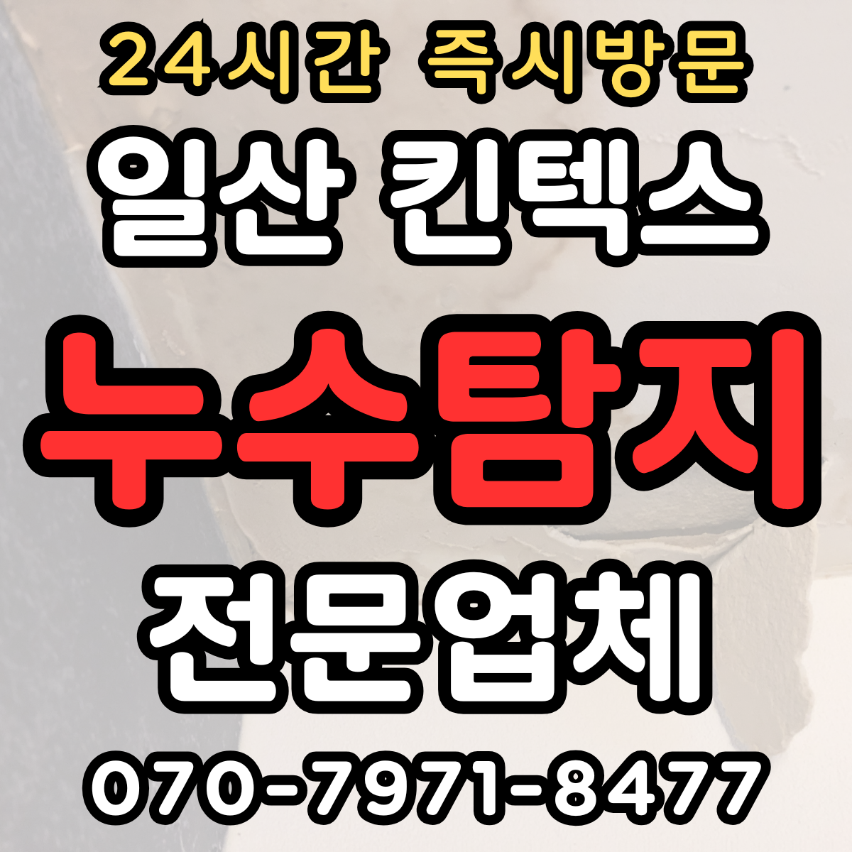 일산 킨텍스 지역 누수 탐지1
