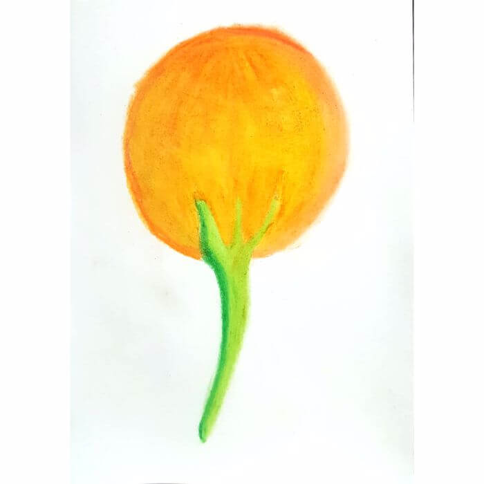  Moon Flower 일러스트레이션 크레파스화 그리기