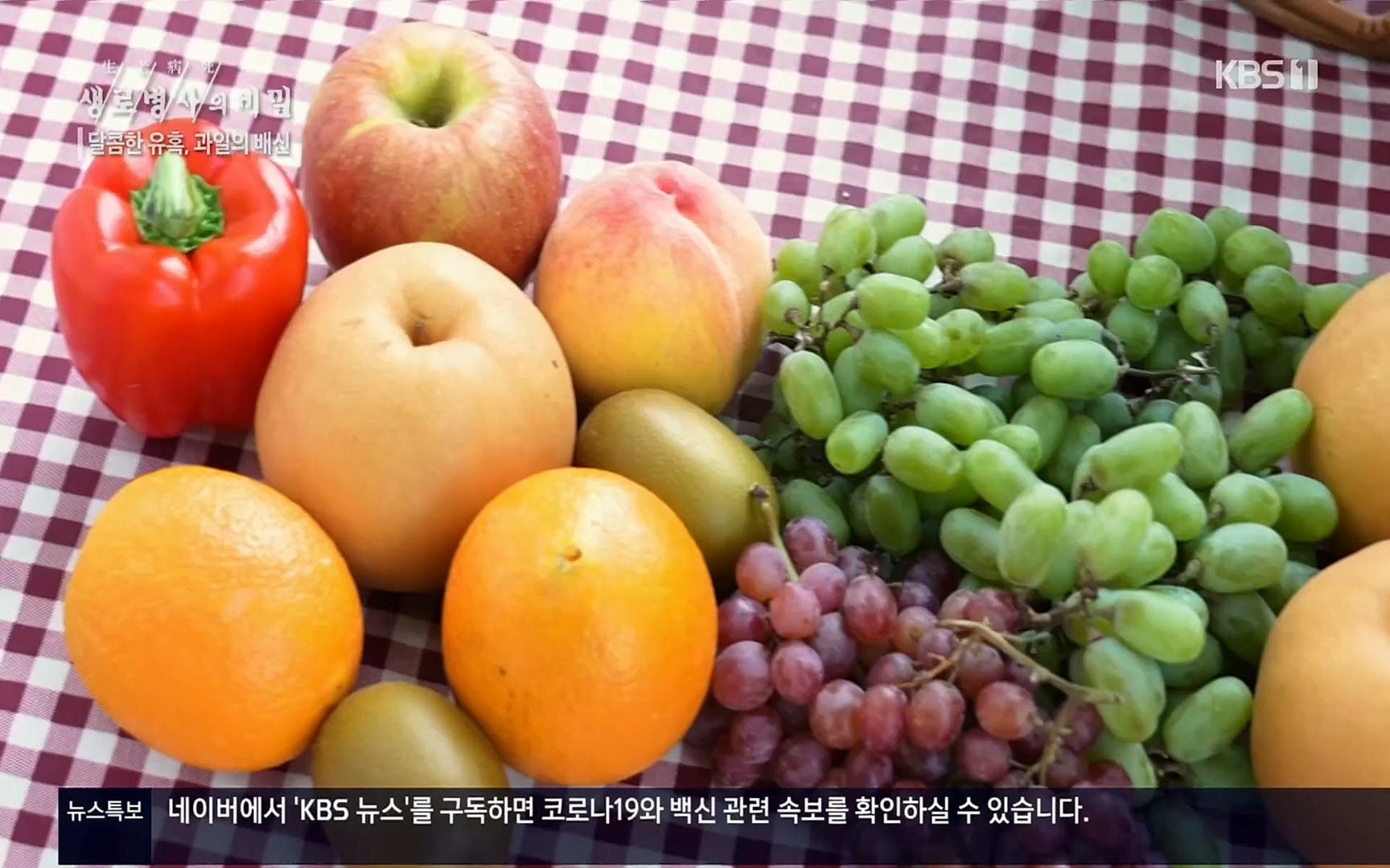 생로병사의 비밀.E829.220803p.H264-F1RST.mp4_20220804_204344.742.jpg
