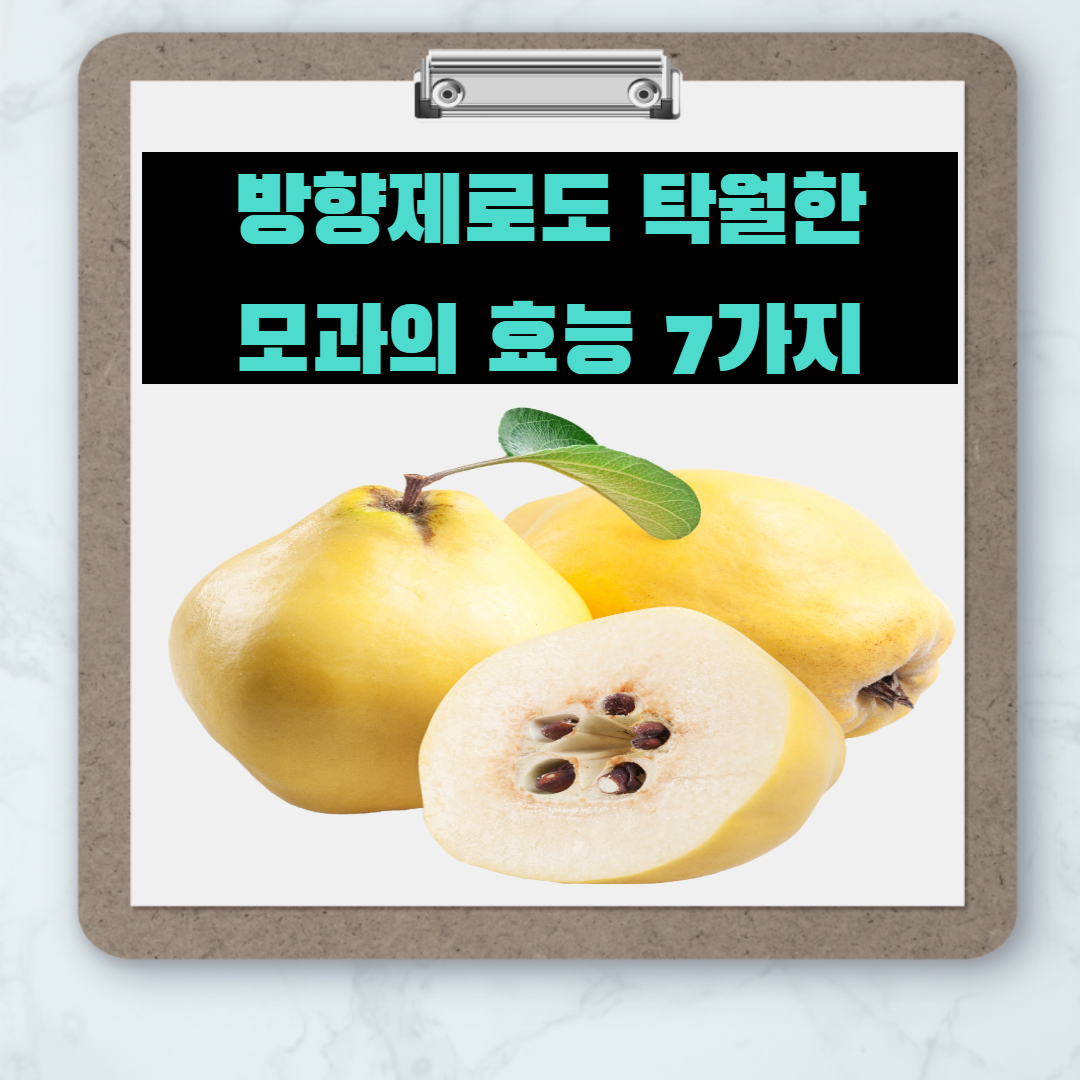  방향제로도 쓰이는 모과 효능 7가지