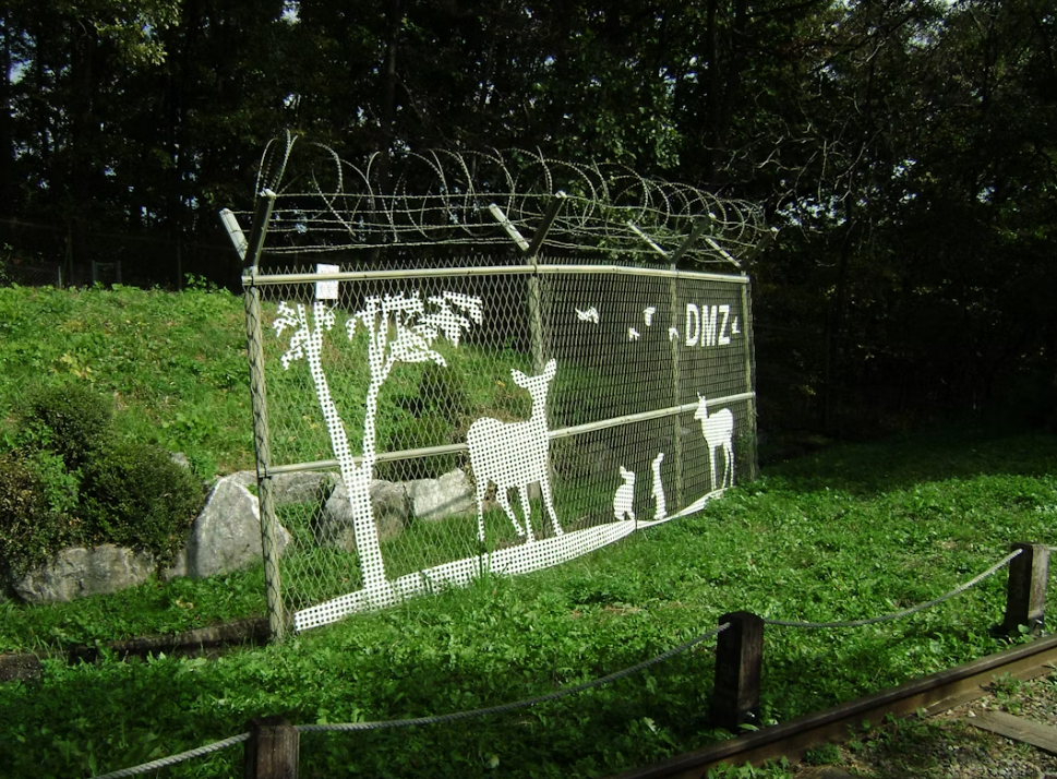 연천 DMZ