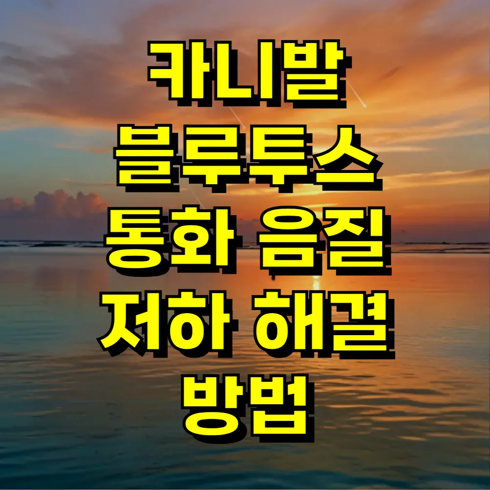 카니발 블루투스 통화 음질 저하 해결 방법