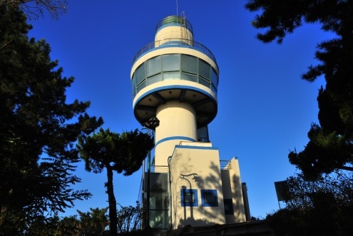 전통팥죽 이미지