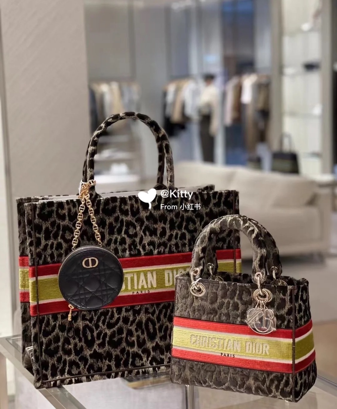  [DIOR] 디올 북토트백 M1286ZTGT (2 COLOR / 2 SIZE)