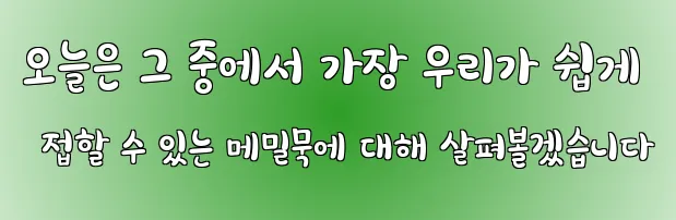 오늘은 그 중에서 가장 우리가 쉽게 접할 수 있는 메밀묵에 대해 살펴볼겠습니다