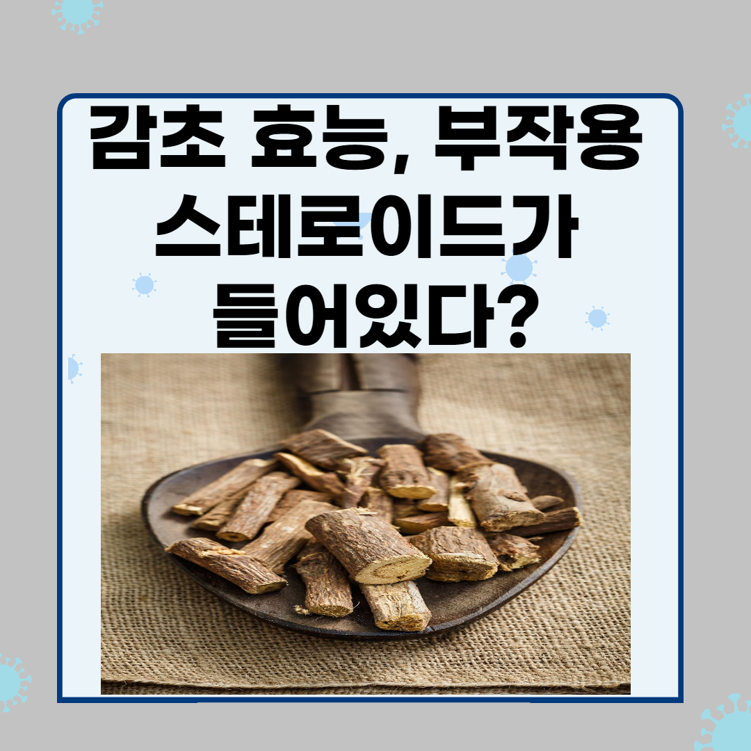 감초 효능 스테로이드