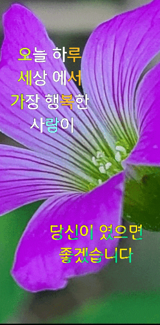 형제민박 이미지