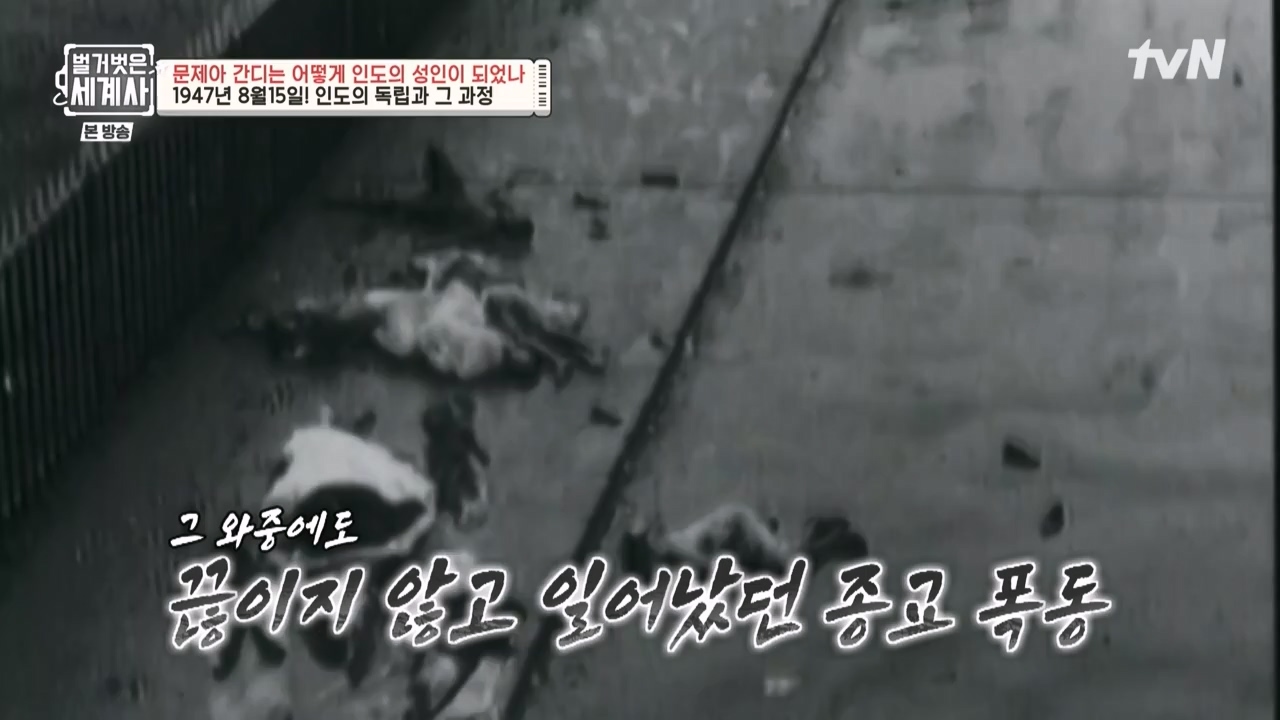 벌거벗은 세계사.E92.230329p-NEXT.mp4_20230425_203954.080.jpg