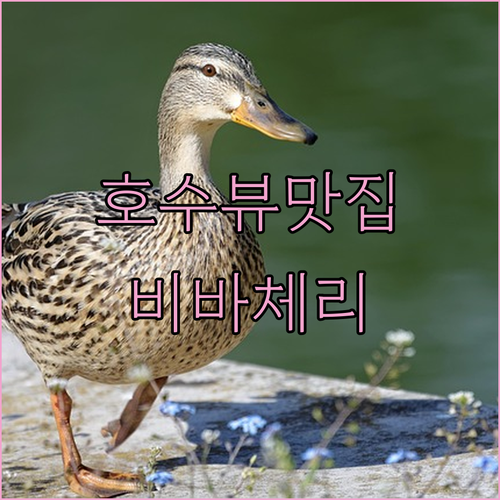 비바체리조트, 호수 뷰가 예술! 가족