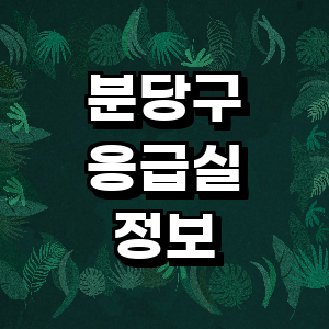 성남 분당구 응급실