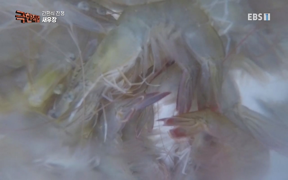 TV - 교육의 중심 EBS간편식 전쟁.mp4_20221002_184844.195.jpg