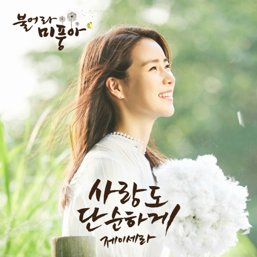  제이세라 (서은영) 사랑도 단순하게 듣기/가사/앨범/유튜브/뮤비/반복재생/작곡작사