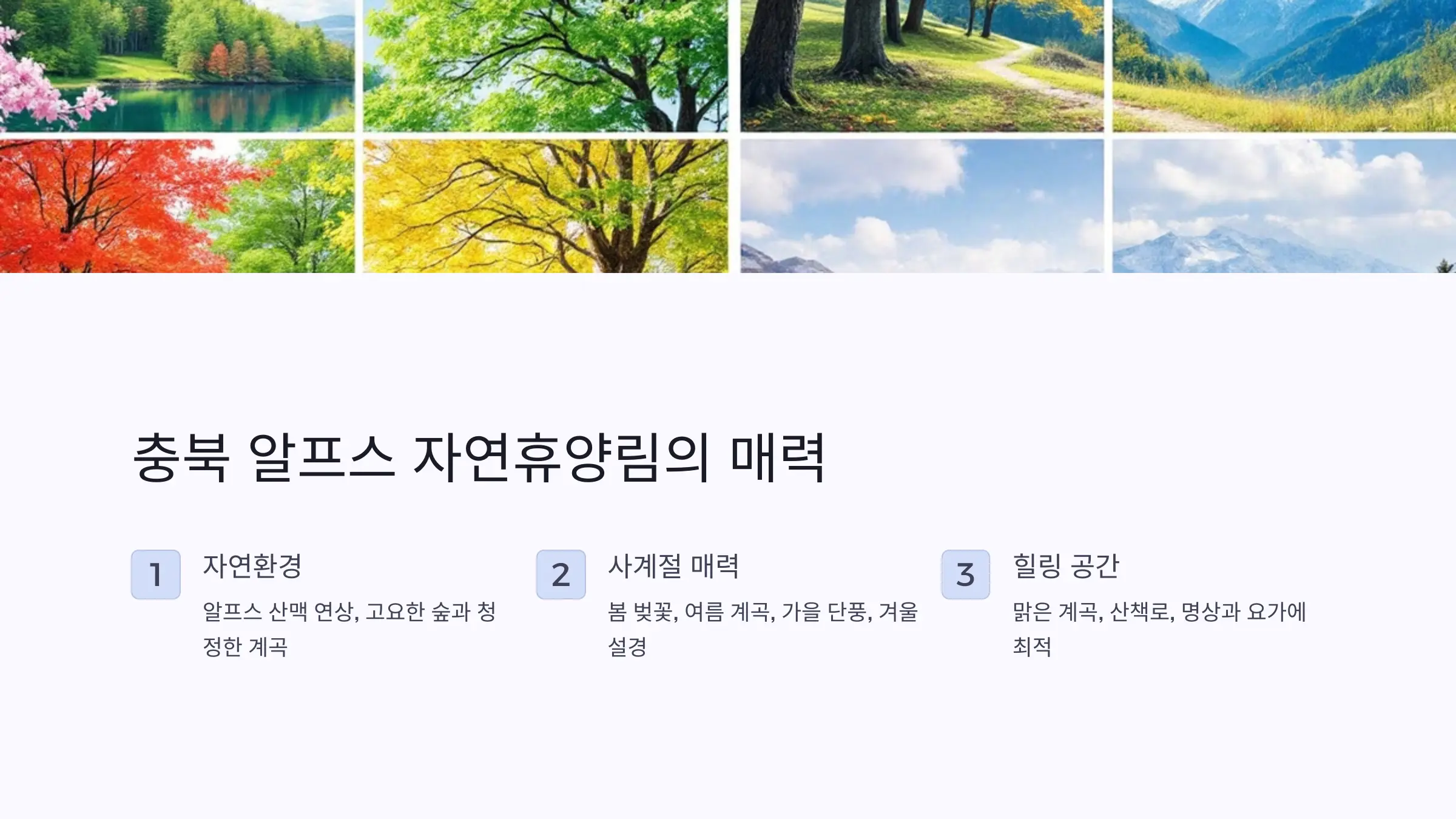 알프스 자연휴양림