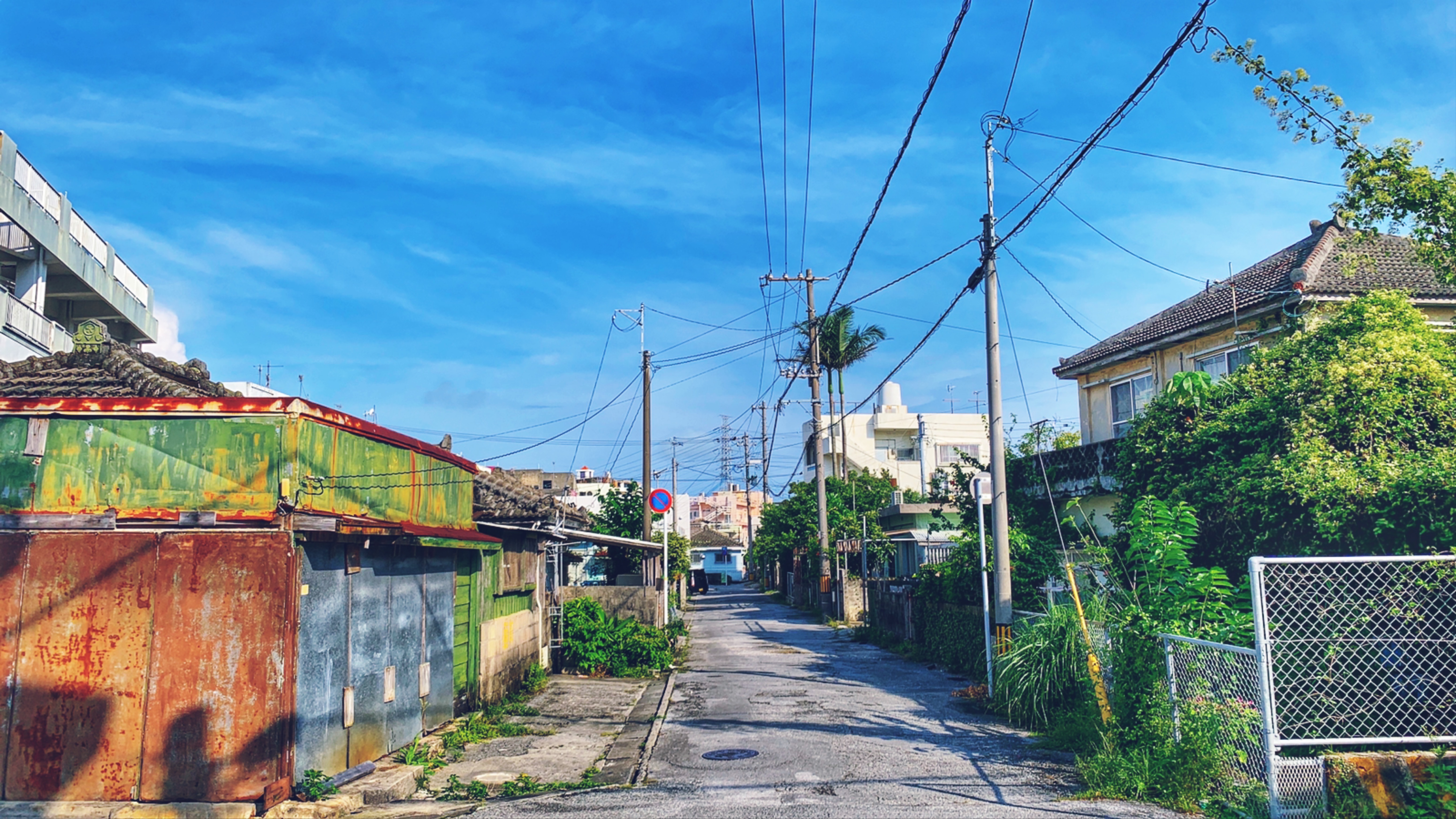 朝の日差し 朝の日差し