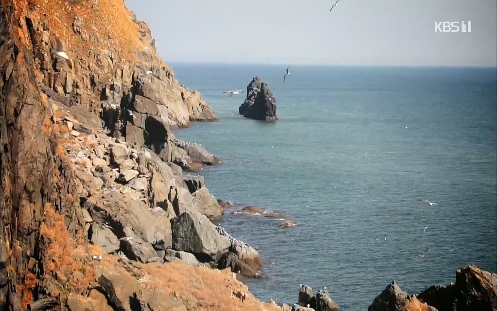 다큐 On.E141p.H264-F1RST.mp4_20220530_200442.313.jpg