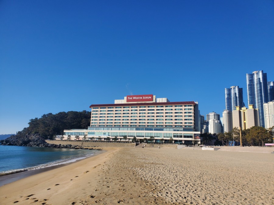  부산 메리어트 웨스틴조선 비치 호텔 카밀리아 조식 + 라운지 + 사우나... 그리고 동백섬.  ㅎㅎ