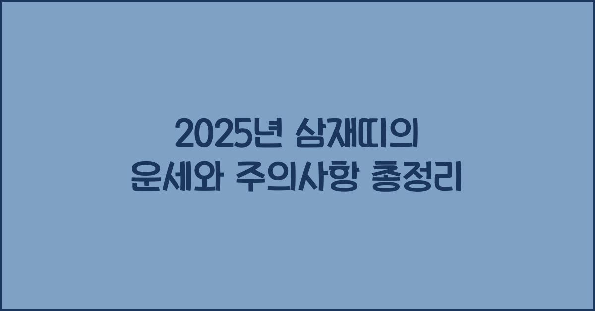 2025년 삼재띠