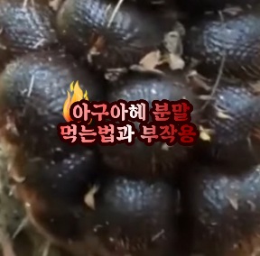 아구아헤-먹는법-부작용