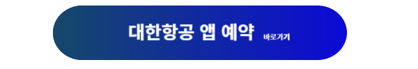 대한항공, 대한항공 항공편, 대한항공 항공편 스케줄, 대한항공 항공편 스케줄 조회, 대한항공 예약, 대한항공 예매, 대한항공 마일리지 예매, 대한항공 출도착