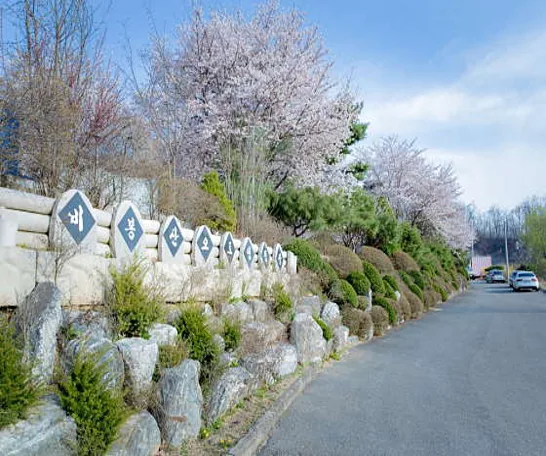 비봉산캠핑장