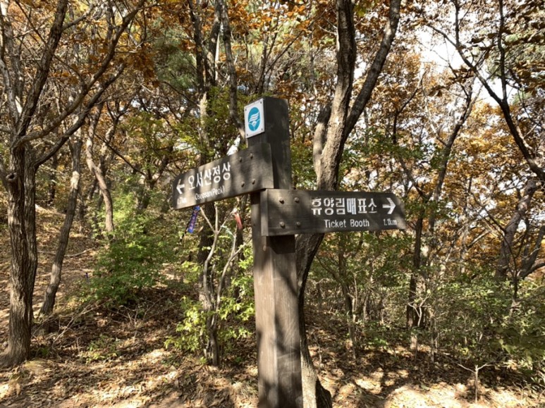 오서산 최단코스 [BAC 100대명산 / 보령 오서산 최단코스] 오서산자연휴양림 ~ 월정사 34