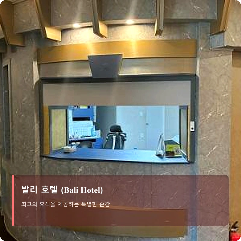 발리 호텔 (Bali Hotel)_4