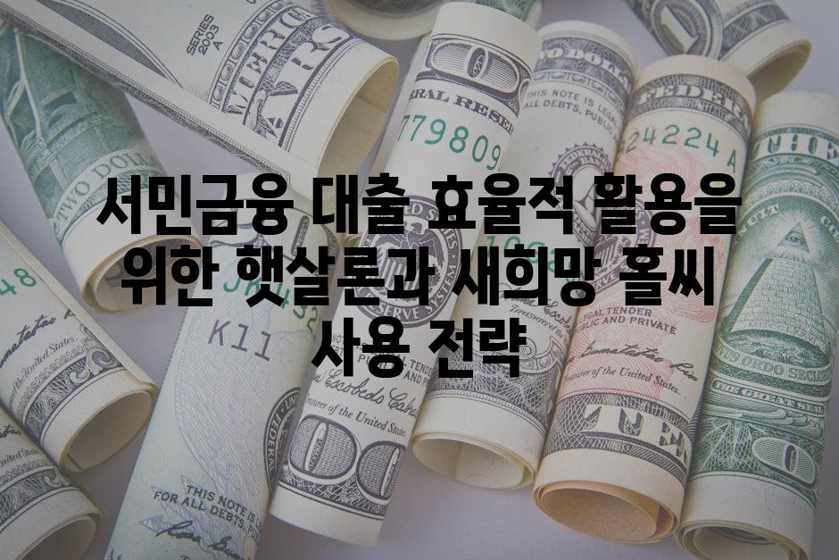 서민금융 대출 효율적 활용을 위한 햇살론과 새희망 홀씨 사용 전략