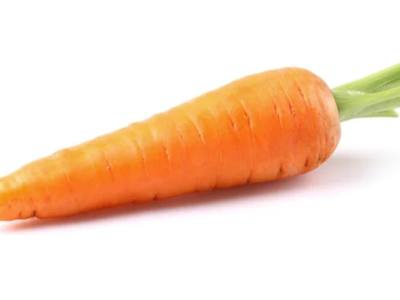 주황색 당근은 바닥에 수평으로 놓여 있습니다.