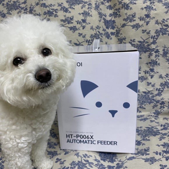 페토이 자동 급식기 강아지 페토이(PETOI) 23