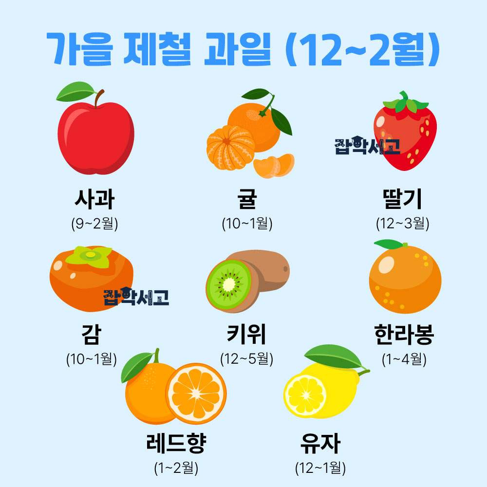 가을 및 겨울의 제철과일