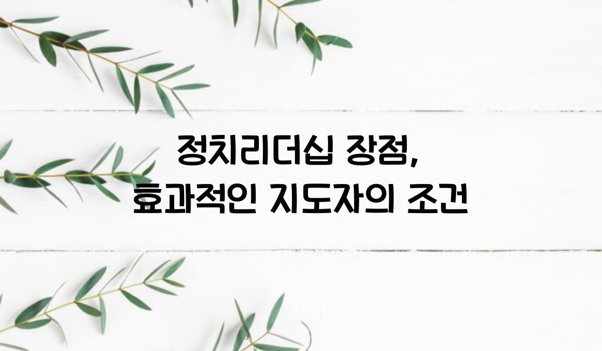 정치리더십 장점