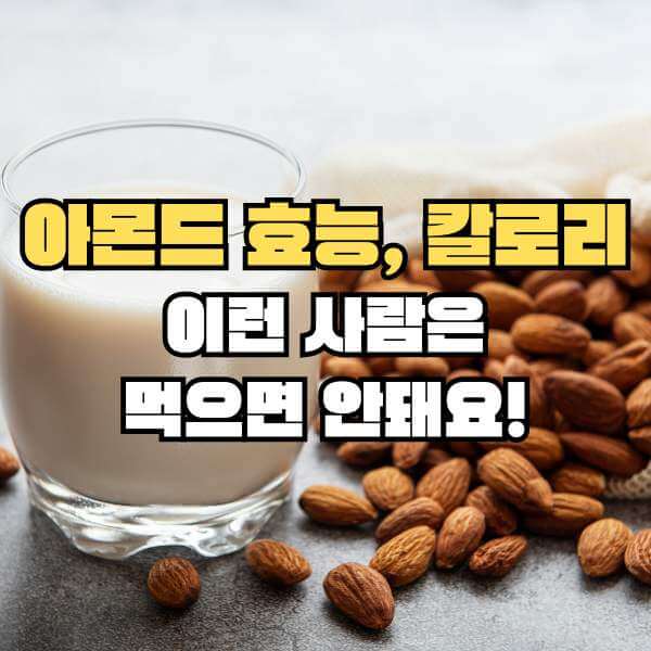 아몬드 효능 및 칼로리