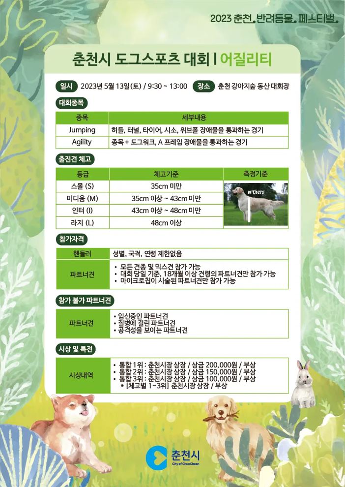 도그스포츠1