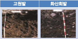 모재 이미지