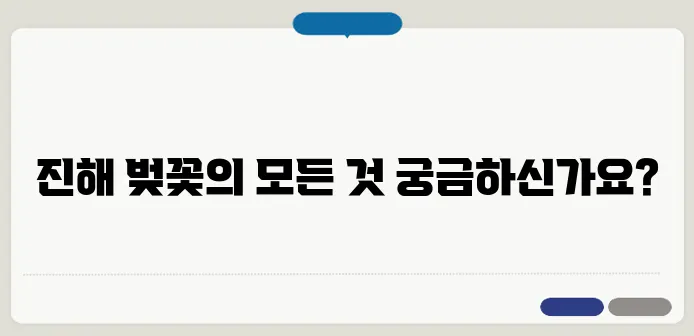 진해 벚꽃축제 2025! 군항제 일정 & 벚꽃 명소 추천