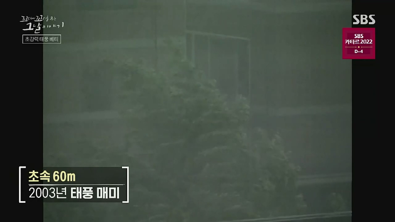 꼬리에 꼬리를 무는 그날 이야기.E54.221118p-NICE.mp4_20221120_133215.209.jpg