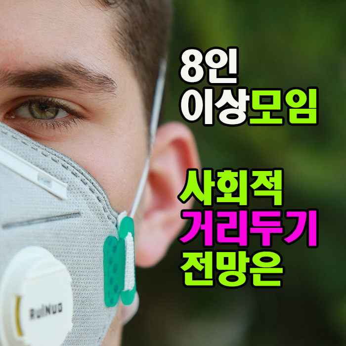 “사회적