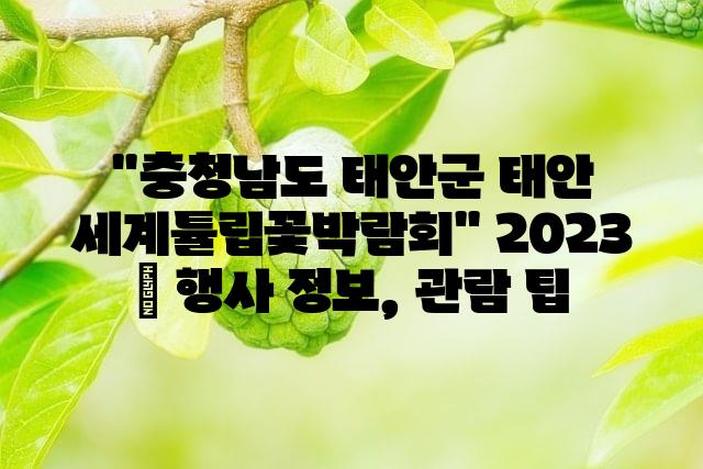 랜덤225