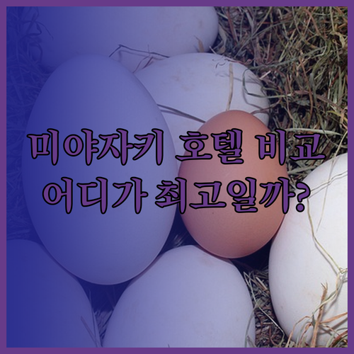 쉐라톤 그랜드 오션 리조트 vs 프린