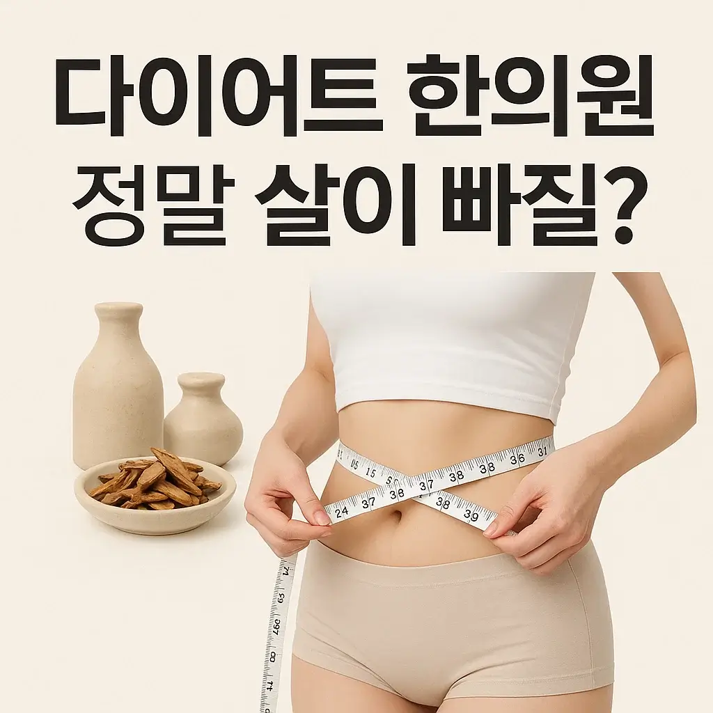 한의원 다이어트 프로그램 안내 이미지
