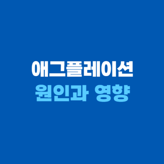 애그플레이션 원인과 영향