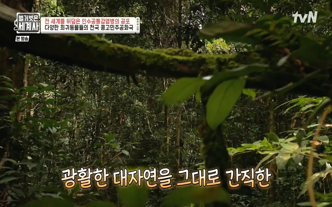 벌거벗은 세계사.E59.220810p-NEXT.mp4_20220810_212409.390.jpg