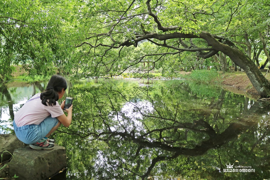반영이 비친 연못을 아이가 사진을 찍고 있다